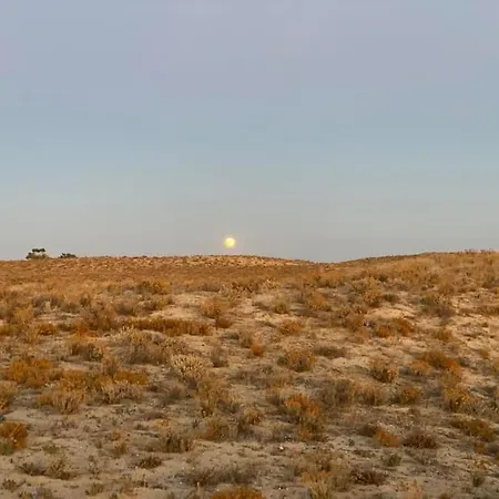 A Casa Do Tio Oscar * Pêra